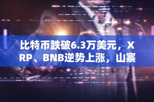 比特币跌破6.3万美元，XRP、BNB逆势上涨，山寨币大幅飙升