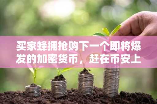 买家蜂拥抢购下一个即将爆发的加密货币,赶在币安上市前锁定本轮最低入场机会