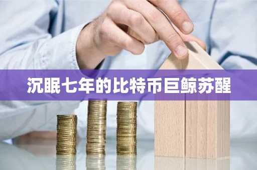 沉眠七年的比特币巨鲸苏醒