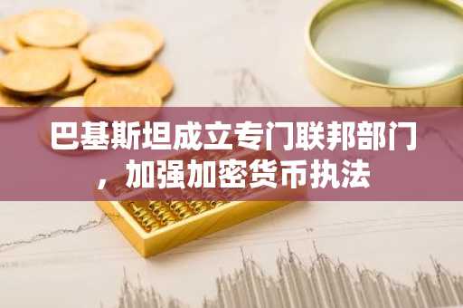 巴基斯坦成立专门联邦部门，加强加密货币执法