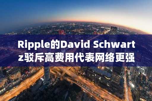 Ripple的David Schwartz驳斥高费用代表网络更强说法