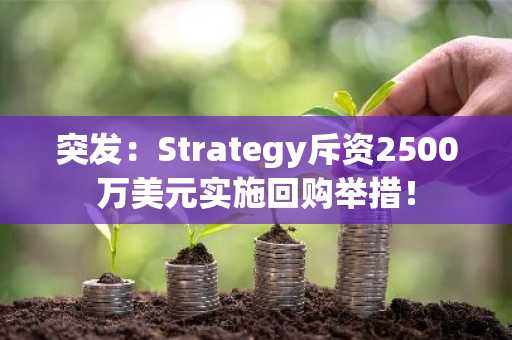 突发：Strategy斥资2500万美元实施回购举措！