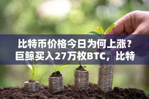 比特币价格今日为何上涨？巨鲸买入27万枚BTC，比特币重上6.2万美元
