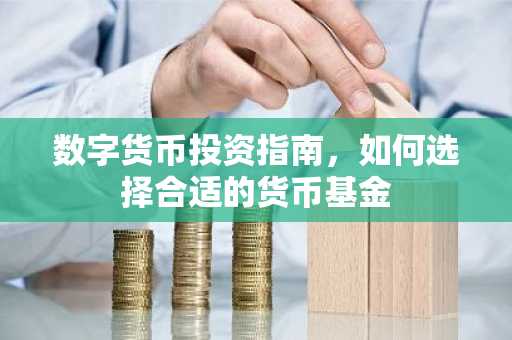 数字货币投资指南，如何选择合适的货币基金