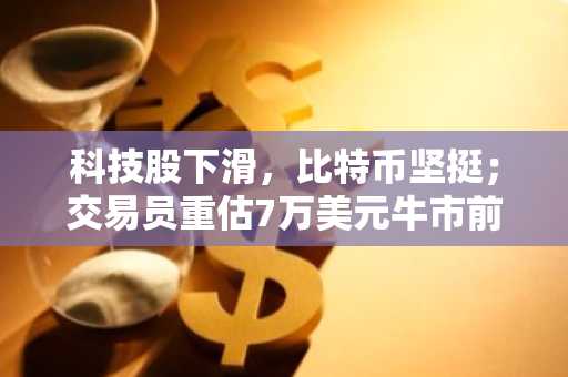 科技股下滑,比特币坚挺;交易员重估7万美元牛市前景