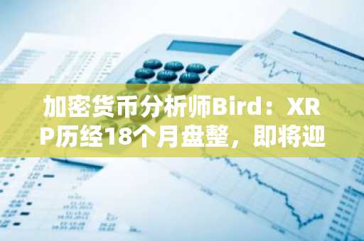 加密货币分析师Bird:XRP历经18个月盘整,即将迎来快速突破