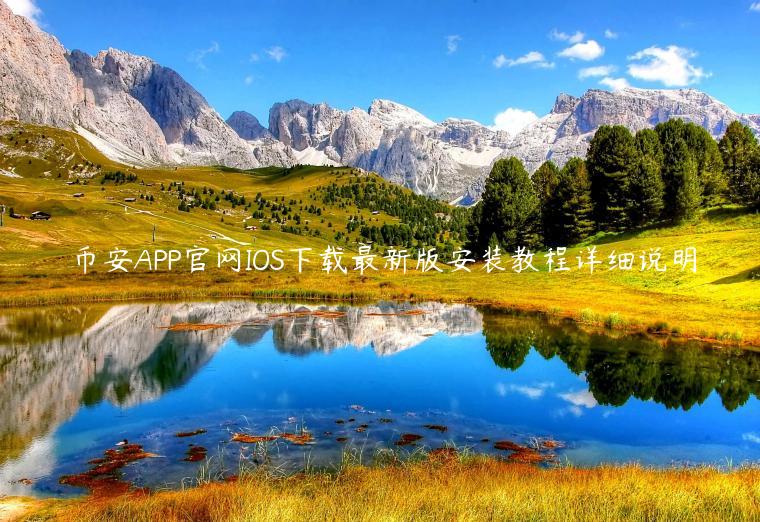 binanceAPP官网IOS下载最新版安装教程详细说明