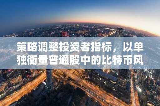 策略调整投资者指标，以单独衡量普通股中的比特币风险敞口