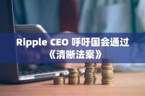 Ripple CEO 呼吁国会通过《清晰法案》