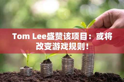 Tom Lee盛赞该项目：或将改变游戏规则！