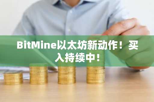BitMine以太坊新动作！买入持续中！