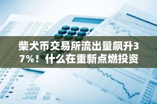 柴犬币交易所流出量飙升37%!什么在重新点燃投资者的兴趣?
