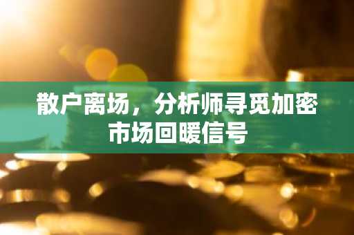 散户离场,分析师寻觅加密市场回暖信号