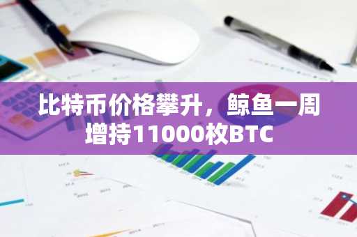 比特币价格攀升,鲸鱼一周增持11000枚BTC