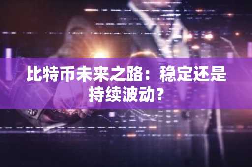 比特币未来之路：稳定还是持续波动？