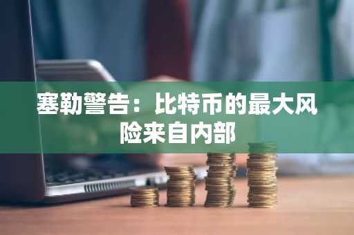 塞勒警告：比特币的最大风险来自内部