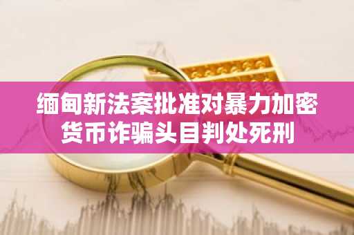 缅甸新法案批准对暴力加密货币诈骗头目判处死刑