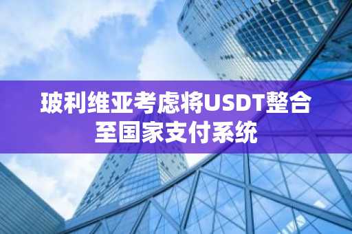 玻利维亚考虑将USDT整合至国家支付系统