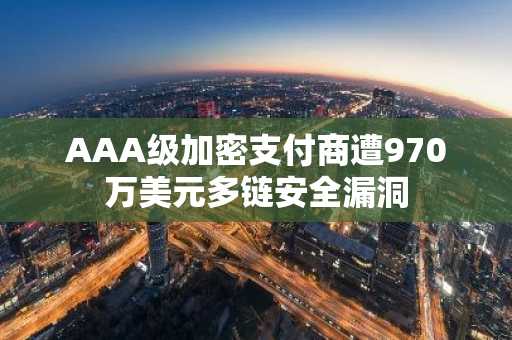 AAA级加密支付商遭970万美元多链安全漏洞