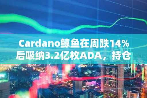 Cardano鲸鱼在周跌14%后吸纳3.2亿枚ADA,持仓量创3.5年新高