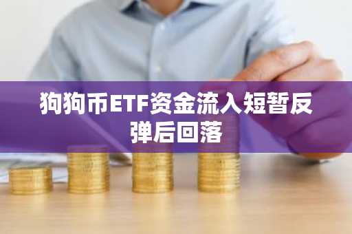 狗狗币ETF资金流入短暂反弹后回落