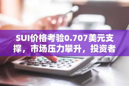 SUI价格考验0.707美元支撑，市场压力攀升，投资者静待方向选择