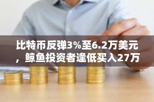 比特币反弹3%至6.2万美元，鲸鱼投资者逢低买入27万枚BTC