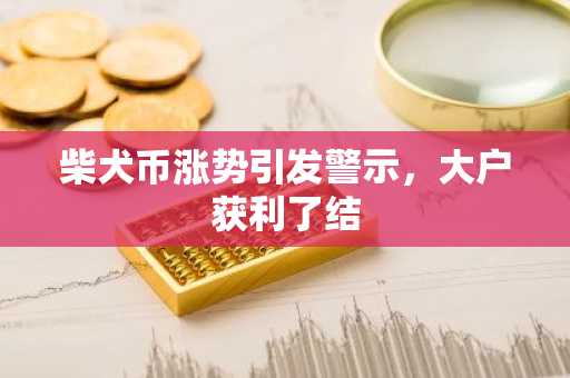 柴犬币涨势引发警示，大户获利了结