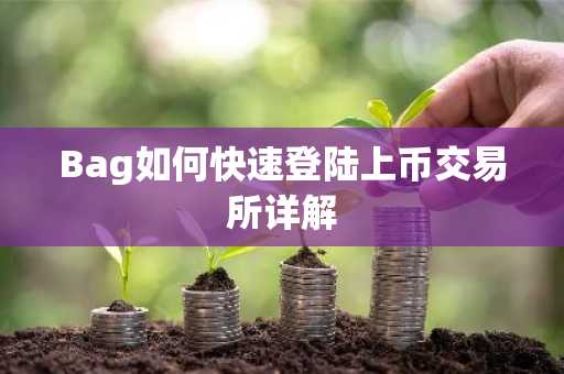 Bag如何快速登陆上币交易所详解