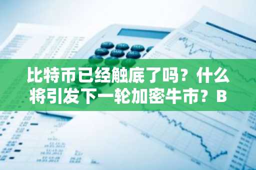 比特币已经触底了吗？什么将引发下一轮加密牛市？Bitwise首席投资官解析：他指出了两个领域和四种山寨币作为例子！