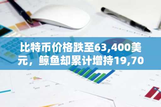 比特币价格跌至63,400美元，鲸鱼却累计增持19,700 BTC
