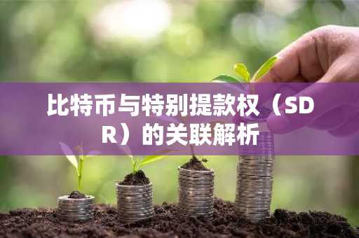 比特币与特别提款权（SDR）的关联解析