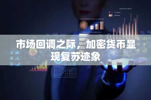 市场回调之际,加密货币显现复苏迹象