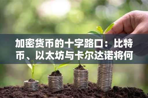 加密货币的十字路口：比特币、以太坊与卡尔达诺将何去何从？