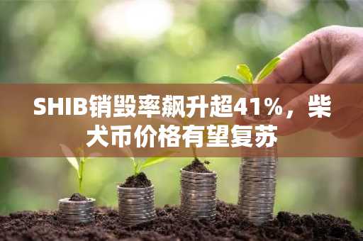 SHIB销毁率飙升超41%，柴犬币价格有望复苏