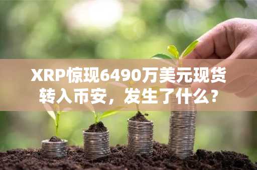 XRP惊现6490万美元现货转入币安,发生了什么?