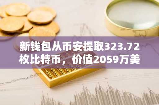 新钱包从币安提取323.72枚比特币，价值2059万美元