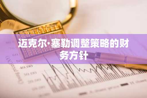 迈克尔·塞勒调整策略的财务方针