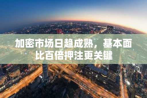 加密市场日趋成熟，基本面比百倍押注更关键
