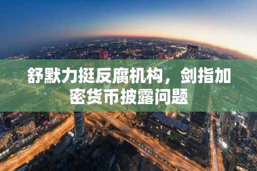 舒默力挺反腐机构，剑指加密货币披露问题