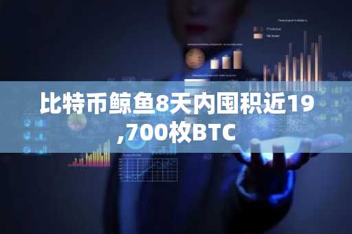 比特币鲸鱼8天内囤积近19,700枚BTC