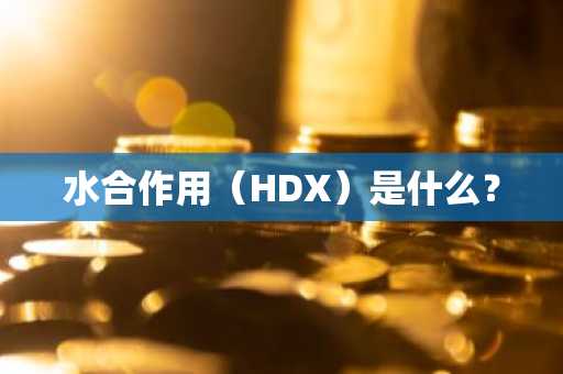 水合作用（HDX）是什么？