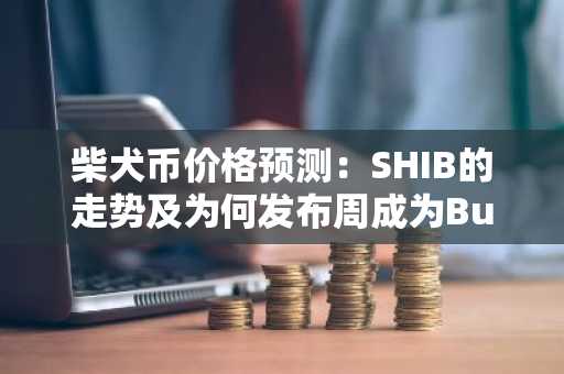 柴犬币价格预测:SHIB的走势及为何发布周成为Bullski的优先关注
