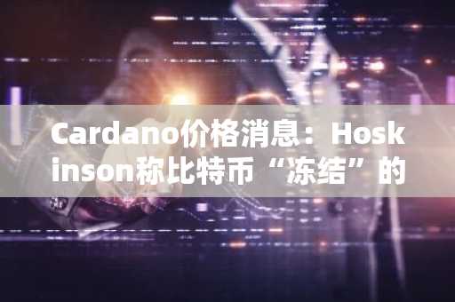 Cardano价格消息：Hoskinson称比特币“冻结”的治理是其最大软肋