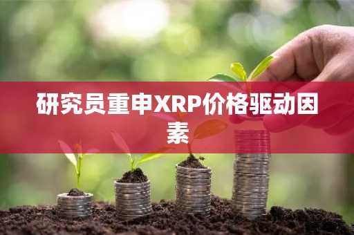 研究员重申XRP价格驱动因素
