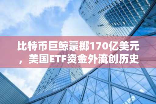 比特币巨鲸豪掷170亿美元，美国ETF资金外流创历史新高