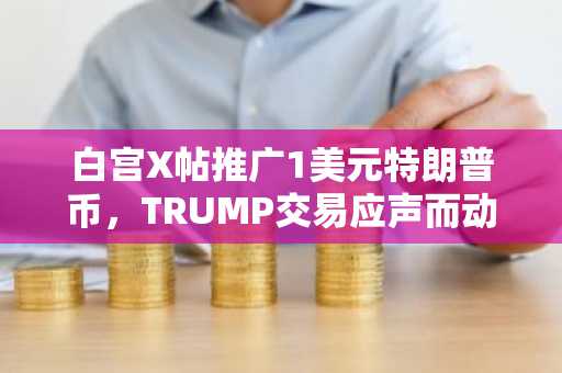 白宫X帖推广1美元特朗普币,TRUMP交易应声而动